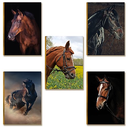 Kit 5 Placas MDF Cavalos Decorativos Estilo Country DC35