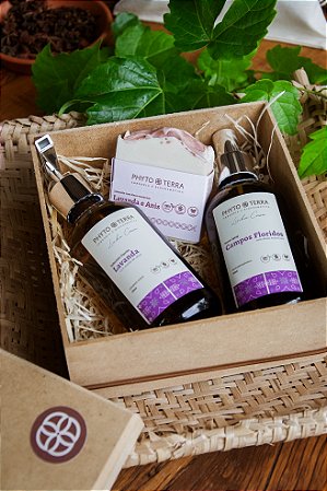 Kit Casa Lavanda