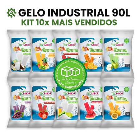 Kit 10 Mais Vendidos Gelo Industrial 90L