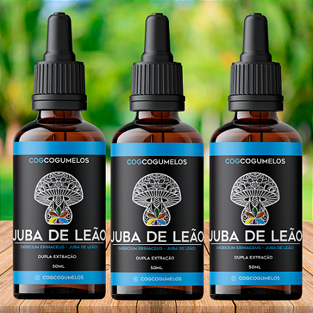 KIT 3 Extratos de Juba de Leão - Hericium Erinaceus - 50ml