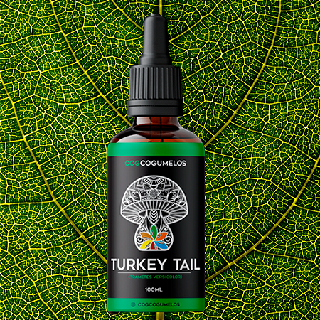 Extrato de Cogumelo Turkey Tail