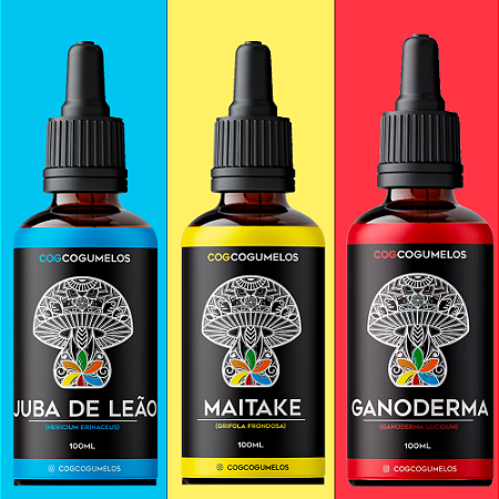 Kit - Juba de Leão - Maitake - Ganoderma