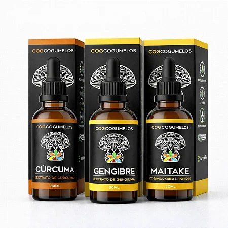 Kit Root & Fungi - Cúrcuma, Gengibre e Maitake