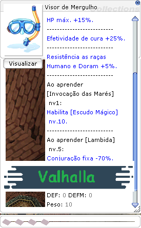 Visor de Mergulho