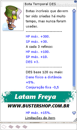 Bota Temporal DES [1]