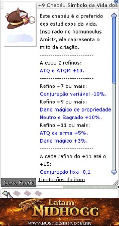 +9 Chapéu Símbolo da Vida [1]