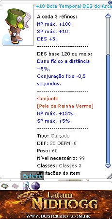 +10 Botas Temporais DES do Arcanista G.INT PE5 [1]