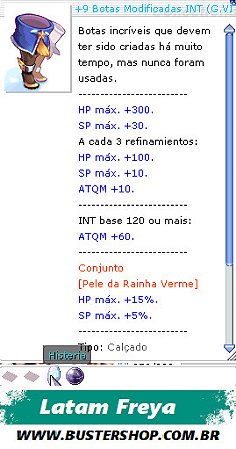 +9 Botas Modificadas INT G.VIT PE5
