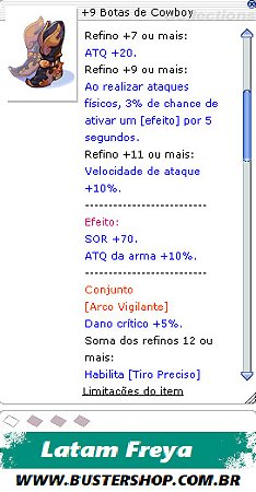 +9 Botas de Cowboy   [1]