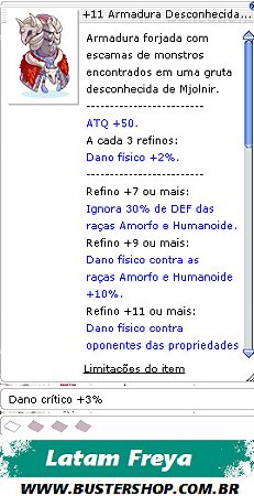 +11 Armadura Desconhecida FOR [1]