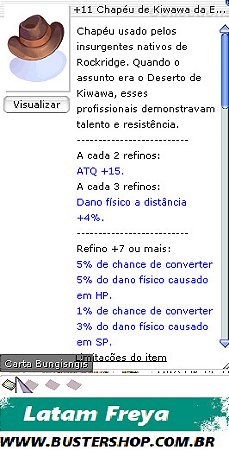 +11 Chapéu de Kiwawa [1]