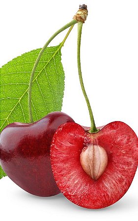 Cereja Européia de Bolo Muda Enxertada C/ 80 Cm + Brinde