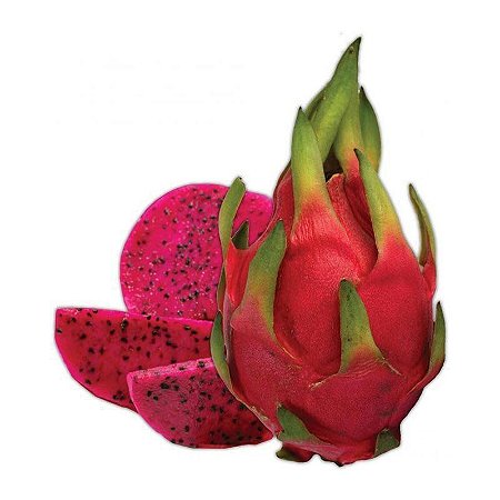 MUDA CLONADA DE PITAYA VERMELHA DA NICARAGUA