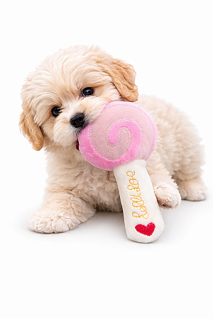 Brinquedo de Pelúcia para Pet (Com Apito) - Pirulito