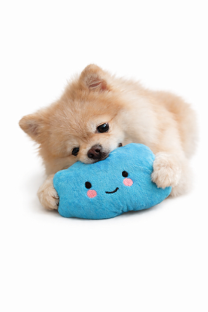 Brinquedo de Pelúcia Para Pet (Com Apito) - Nuvem