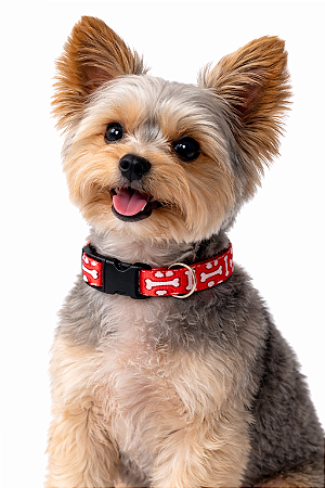 Coleira para Pet Ajustável (Para Cães de Pequeno e Médio Porte)