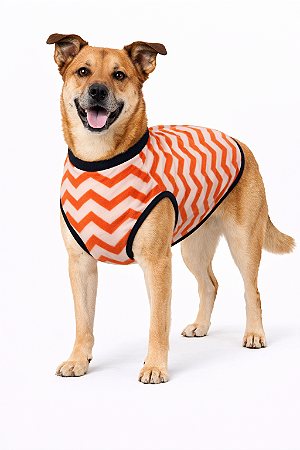 Roupa Pet em Soft G (Medidas na Descrição do Anúncio)