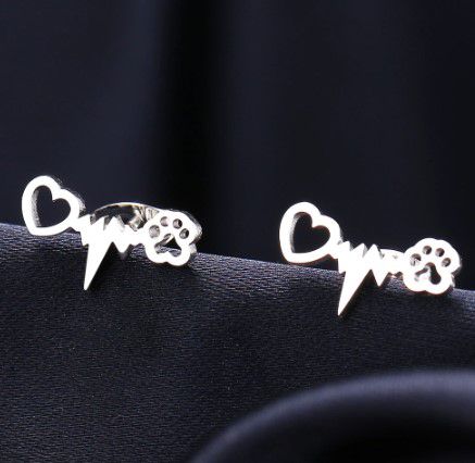 Brinco em Aço Inoxidável cor Prata