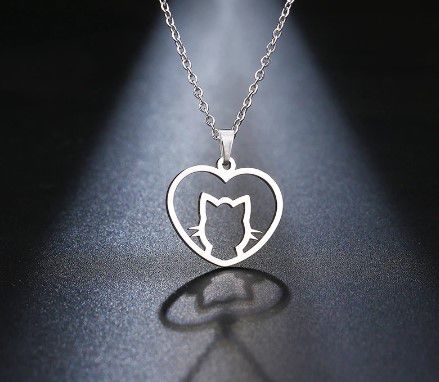 Colar em Aço Inoxidável cor Prata