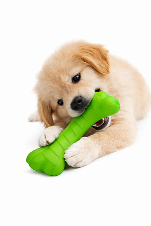 Brinquedo para Pet (Com Apito)