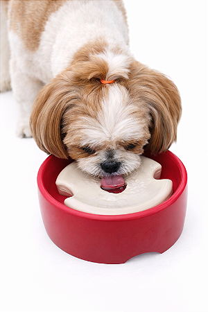 Bebedouro com Boia - 1000ml - Rosa Pink (Ideal para pets de pelos longos)