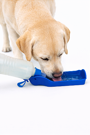 Garrafinha Portátil para Passeio - 500ml