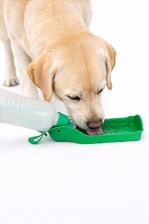 Garrafinha Portátil para Passeio - 500ml