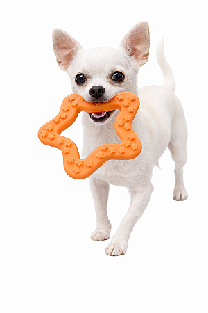 Brinquedo Pet Mordedor