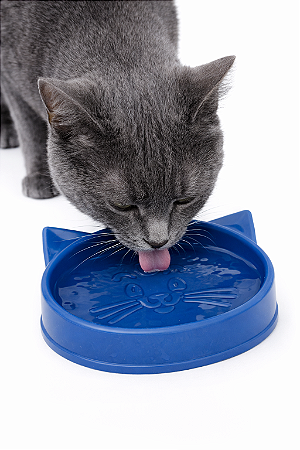 Comedouro/Bebedouro para Gatos 100ml
