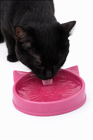 Comedouro/Bebedouro para Gatos 100ml