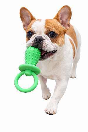 Brinquedo para Pet (Com Apito)