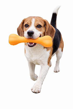 Brinquedo para Pet (Com Apito)