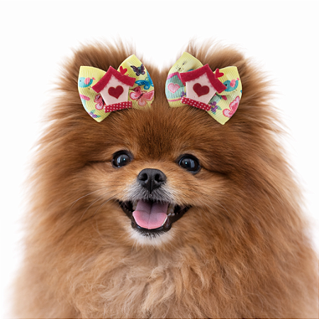 2 Laços Para Penteado Pet