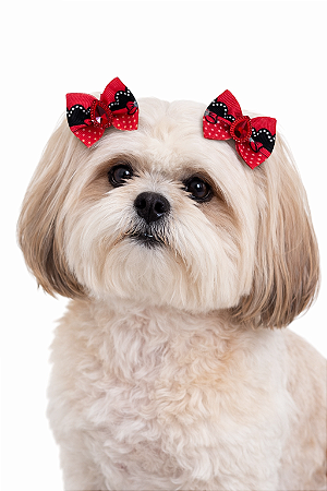 2 Laços Para Penteado Pet