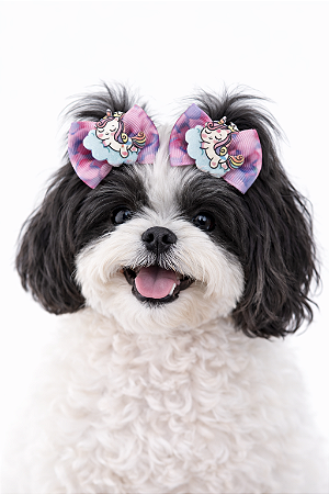 2 Laços Para Penteado Pet