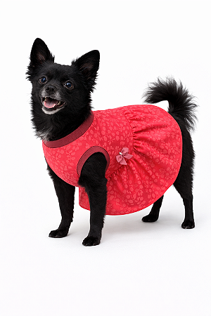 Vestido Pet em Malha G (Medidas na Descrição do Anúncio)