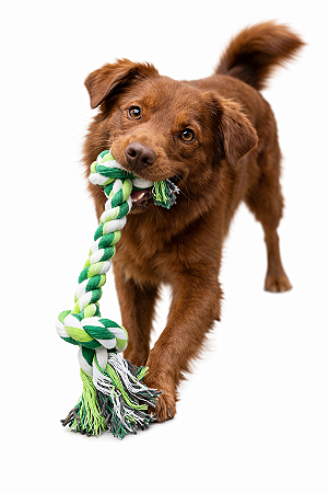 Brinquedo Pet Mordedor Corda