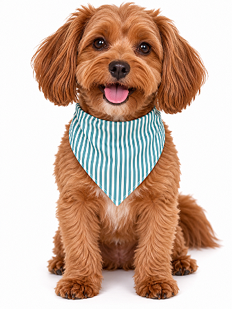 Bandana Para Pet Ajustável