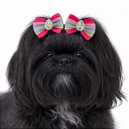 2 Laços Para Penteado Pet