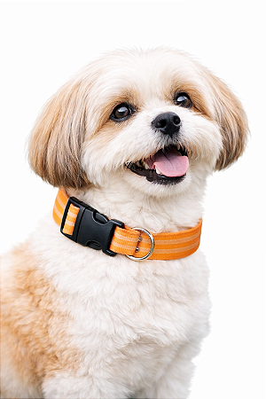 Coleira para Pet Ajustável (Para Cães de Pequeno e Médio Porte)