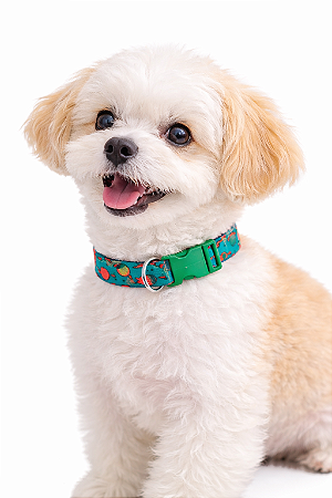 Coleira para Pet Ajustável (Para Cães de Pequeno e Médio Porte)