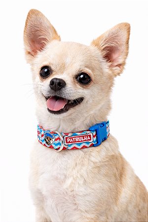 Coleira para Pet Ajustável (Para Cães de Pequeno e Médio Porte)