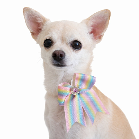 Laço Ajustável para Pet