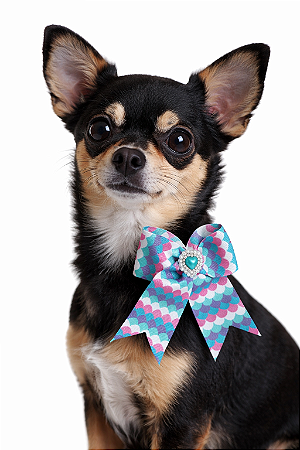 Laço ajustável para Pet