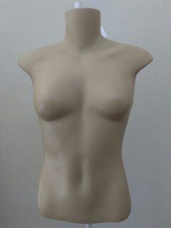 BUSTO FEMININO