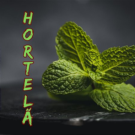 Hortelã