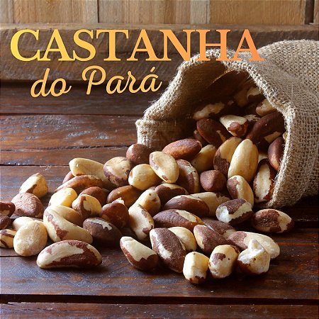 Castanha do Pará