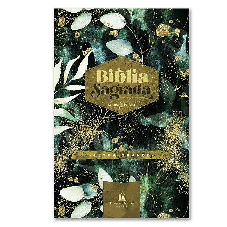 BÍBLIA NVI - Letra grande capa dura - JARDIM NOTURNO