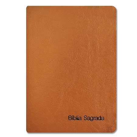 BÍBLIA NVI SLIM Letra normal COMPACTA CAPA LUXO LARANJA BOLSO