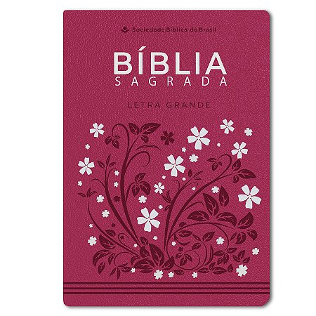 BÍBLIA RA065LG Letra grande capa pink